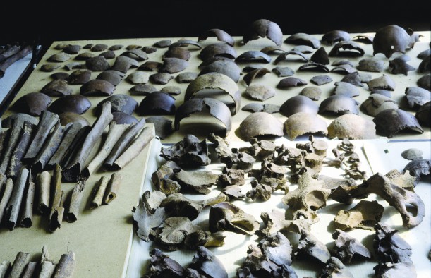 Overzicht van menselijk skeletmateriaal uit de Late IJzertijd, opgebaggerd in Kessel. 