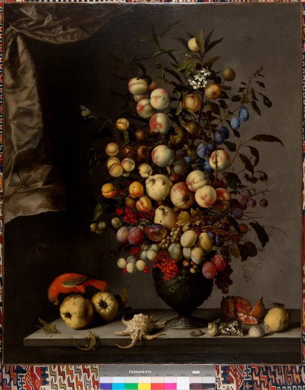 Balthasar van der Ast, Vruchtenboeket, papegaai en slakkenhuizen, privécollectie. Foto: Andreas Pauly.