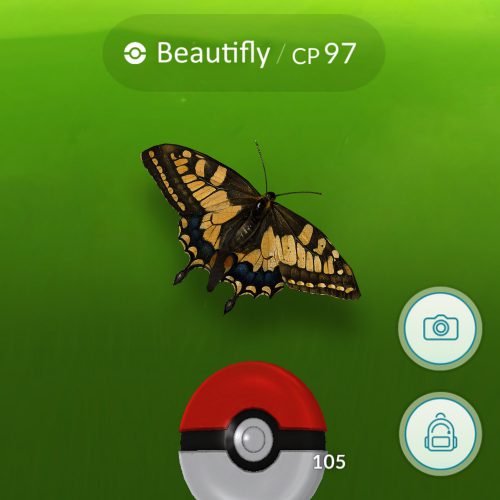 Een van de vier ‘historische Pokémon’ van het Mauritshuis.