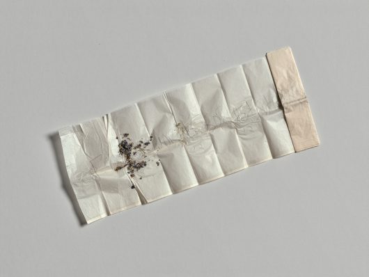 Brief van James Lee Byars aan Flor Bex, 5-3-1979, potlood op dun wit papier met gedroogde bloemblaadjes, 23 x 242 cm.